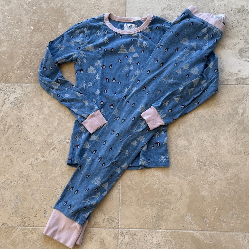 Crewcuts Blue Pajama Set with Pink Trim